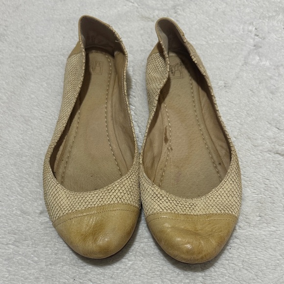 Frye | size 11 | carson cap toe ballet shoe - Picture 1 of 8